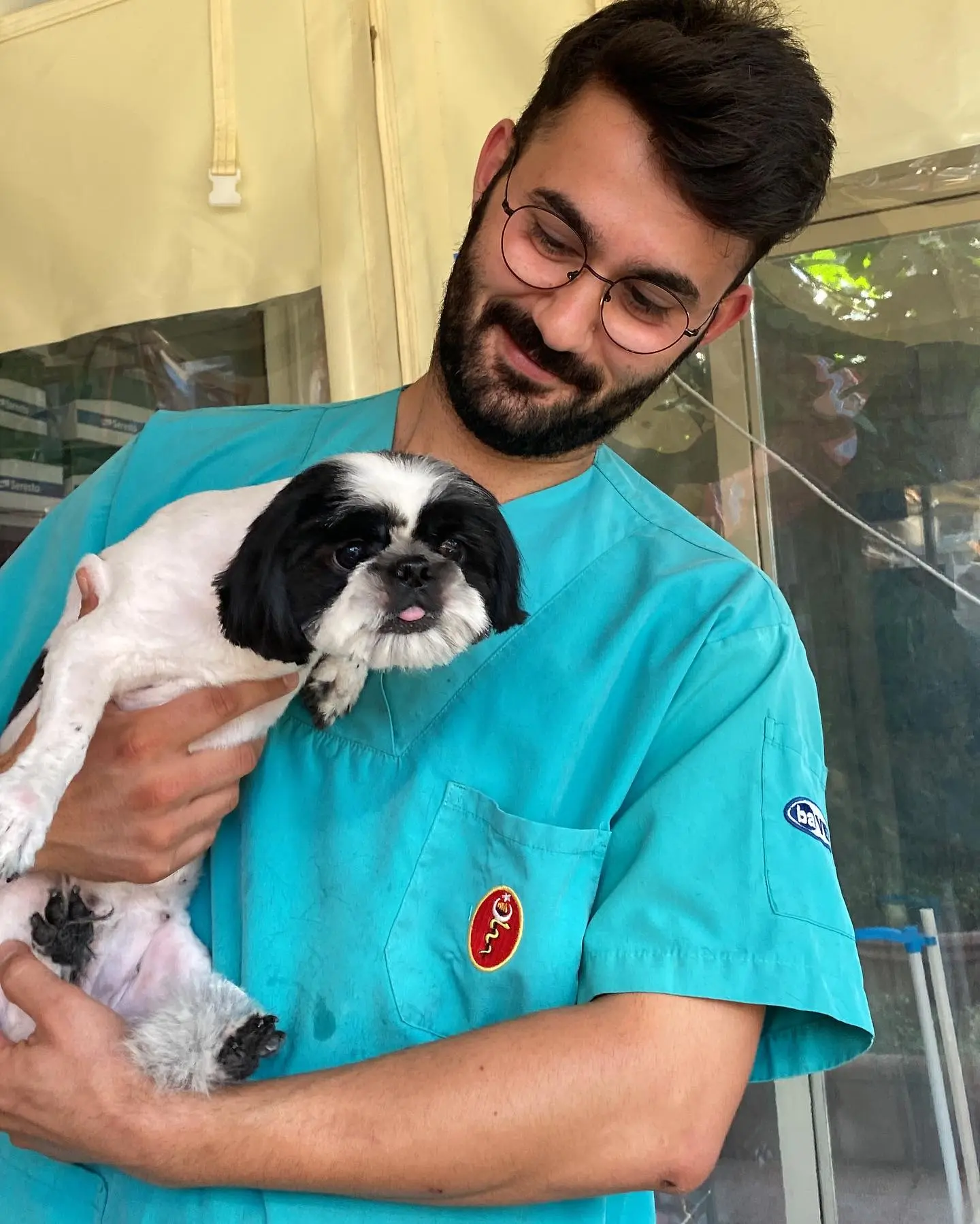 Hasan Çaylak tıraşı biten shih tzu’yu kucağında tutuyor