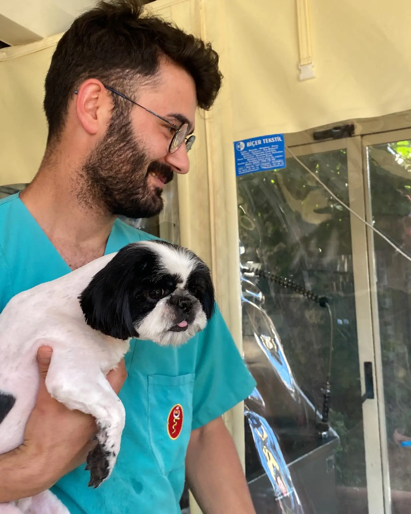 Bakımı tamamlanan shih tzu sahibine teslim edilmeden önce kucakta